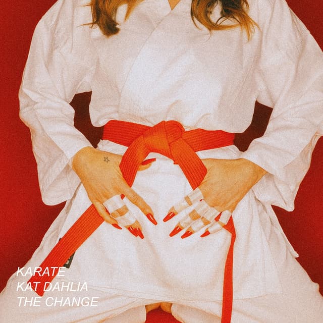 Album cover art for Karate