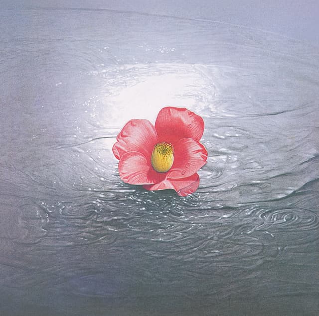 Album cover art for 人間まがい