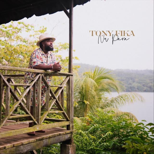 Album cover art for Nu Pára