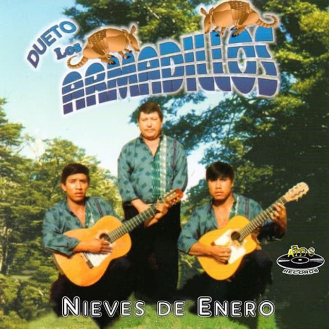 Album cover art for Nieves de Enero