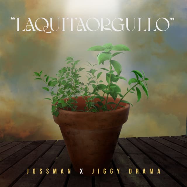 Album cover art for LAQUITAORGULLO