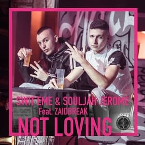 Album cover art for Not Loving