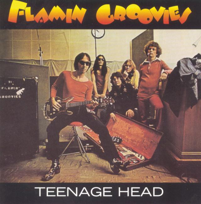 Album cover art for Teenage Head