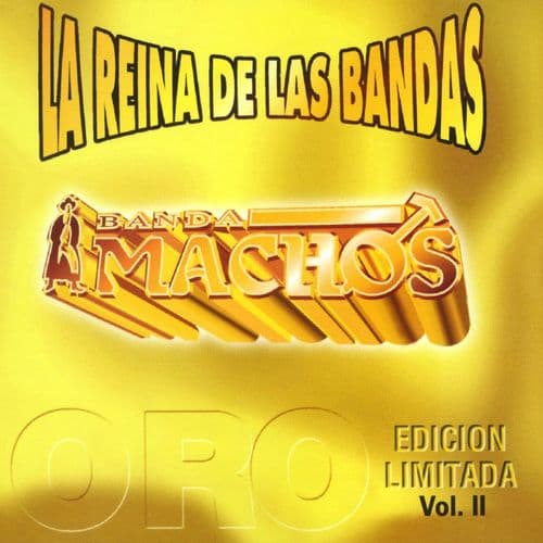 Album cover art for La reina de las bandas Vol. II