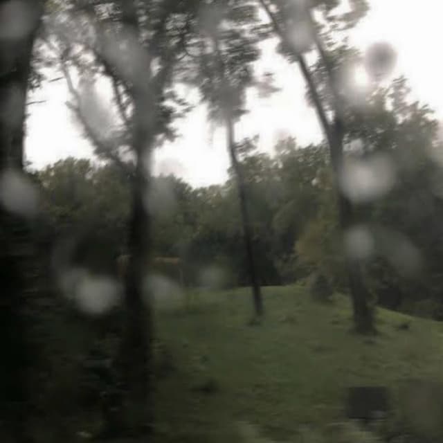 Album cover art for Seasons