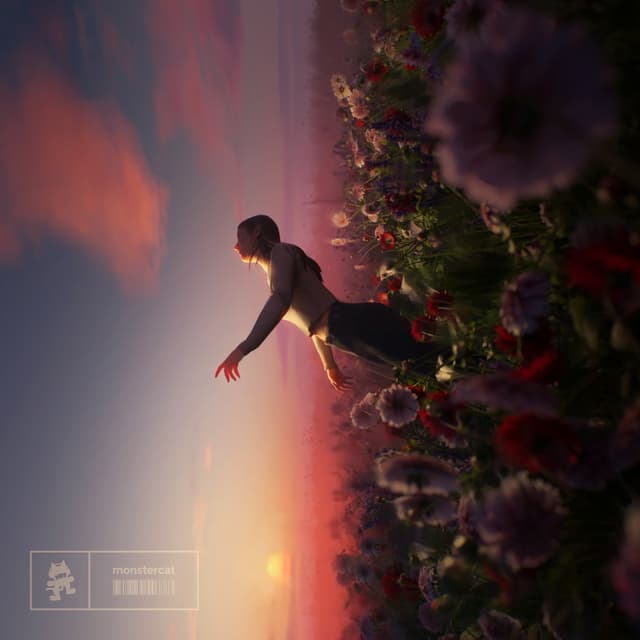 Album cover art for Used to Losing You