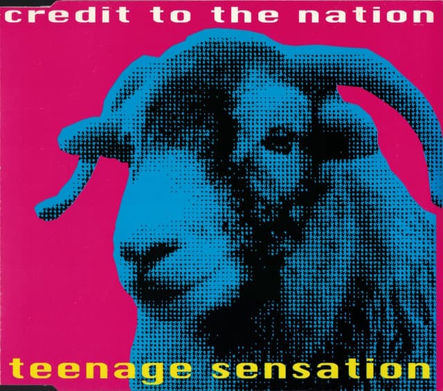 Album cover art for Teenage Sensation