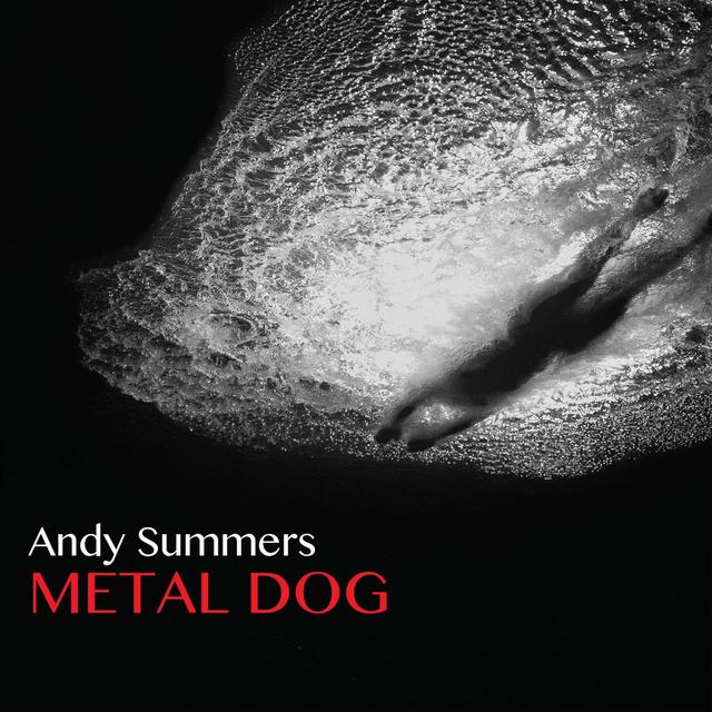 Album cover art for Metal Dog