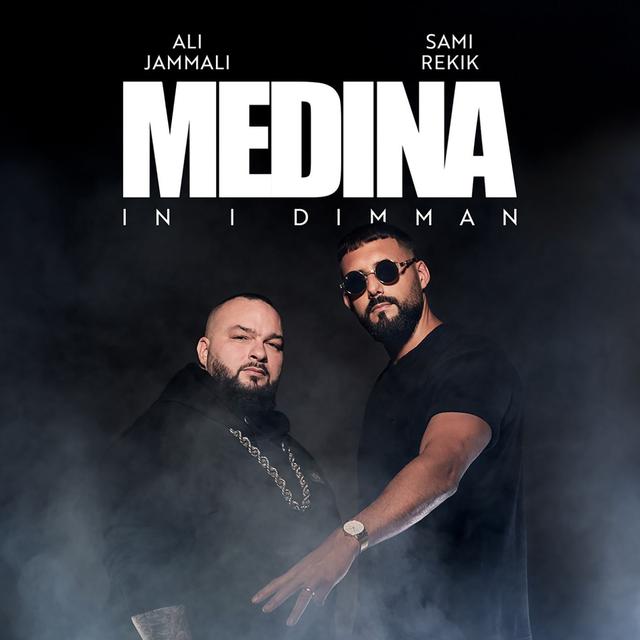 Album cover art for In i dimman