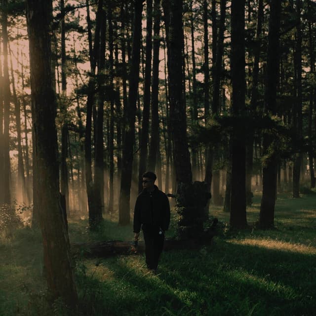 Album cover art for Chạy Mãi