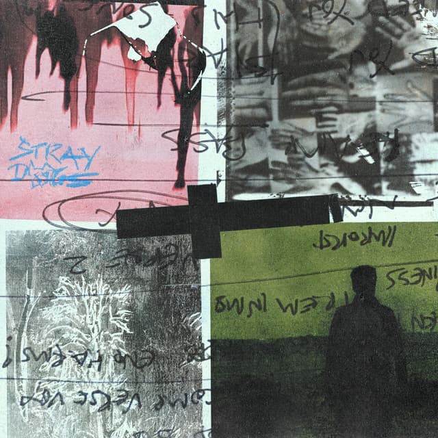 Album cover art for Stray Dogs
