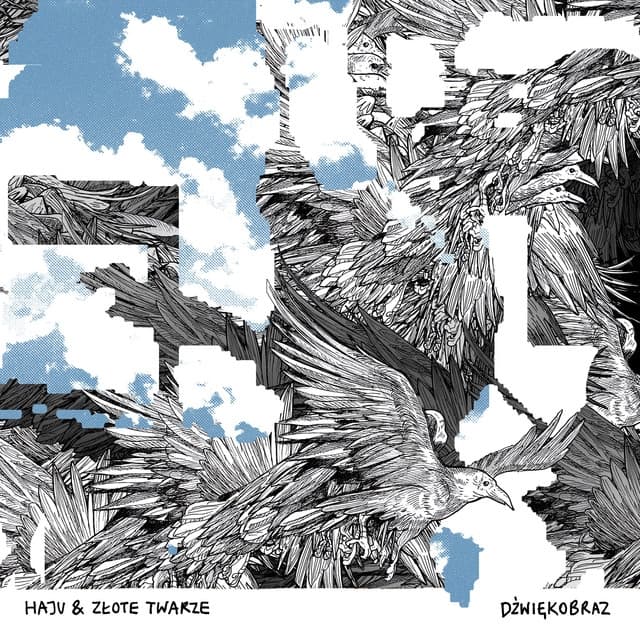 Album cover art for Dźwiękobraz