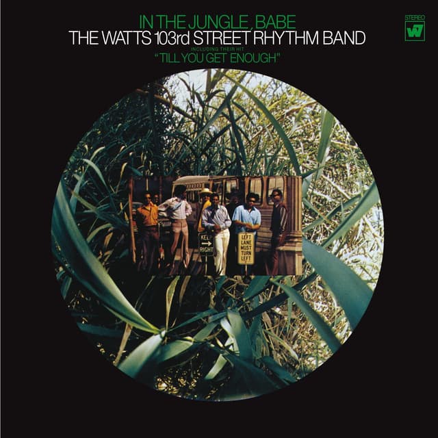 Album cover art for In the Jungle Babe