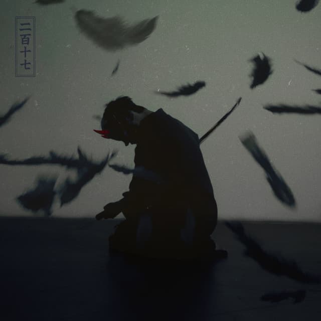 Album cover art for 217