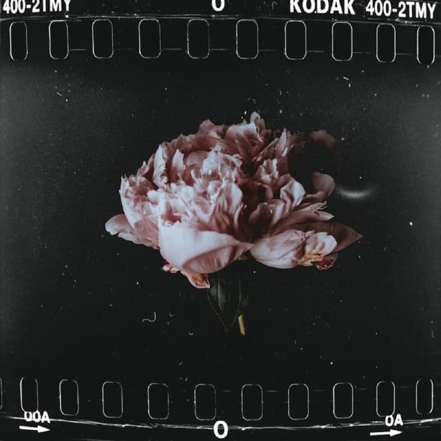 Album cover art for Untitled