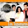 La Muy Indigna