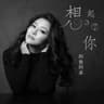 想起了你 (Xiang Qi Liao Ni)