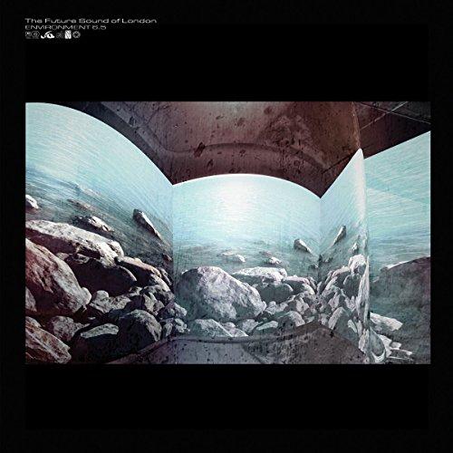 Album cover art for Environment 6.5