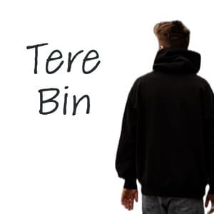 Album cover art for Tere Bin