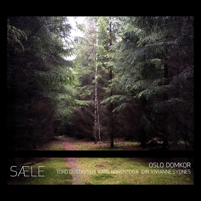 Album cover art for Sæle