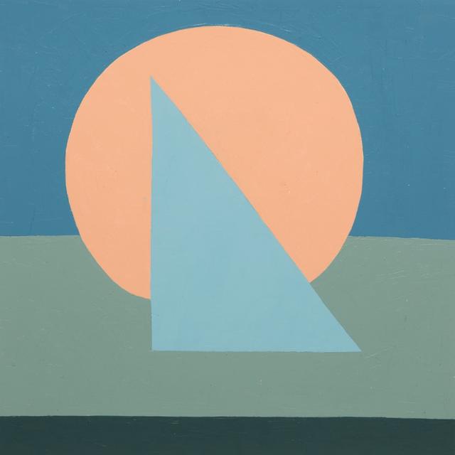 Album cover art for Distress Signals