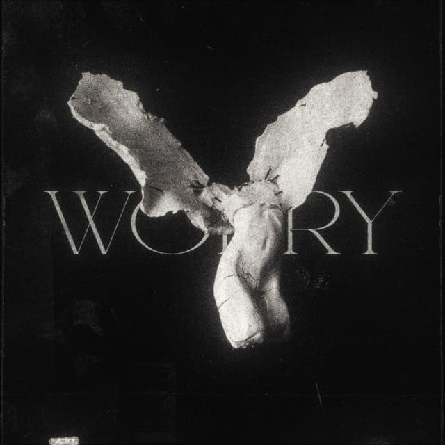 Album cover art for worry