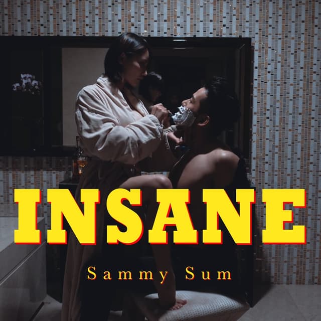 Album cover art for Insane