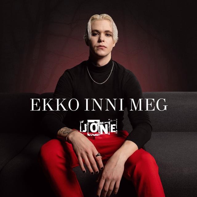 Album cover art for Ekko inni meg