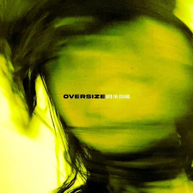 Album cover art for Into the Ceiling