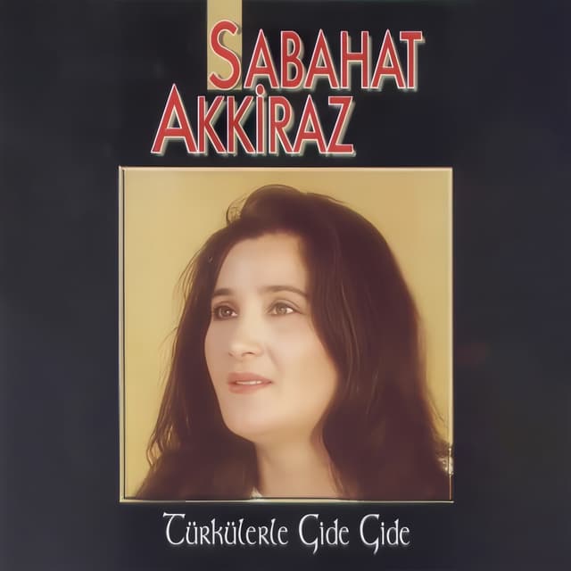 Album cover art for Türkülerle Gide Gide