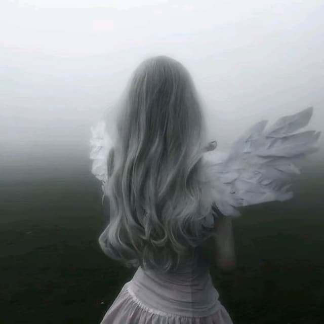 Album cover art for erotas
