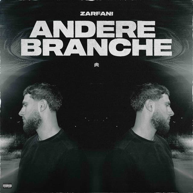 Album cover art for Andere Branche
