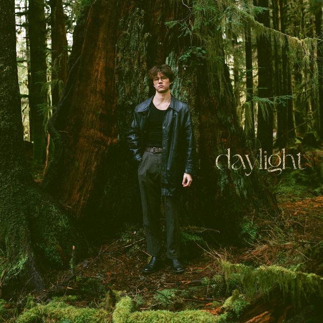 Album cover art for Daylight