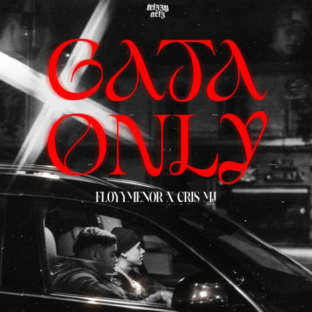 Album cover art for Gata Only