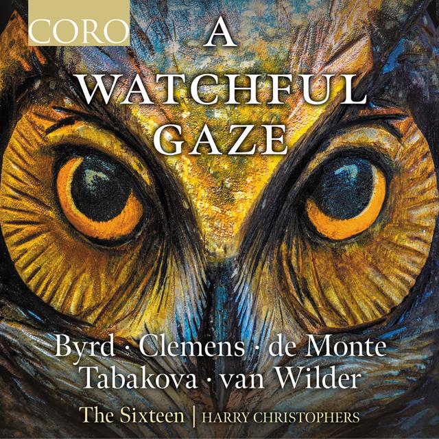 Album cover art for A Watchful Gaze