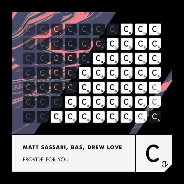 Album cover art for Provide For You