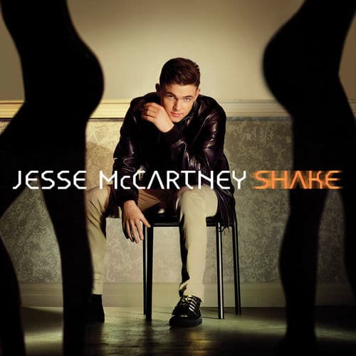 Album cover art for Shake
