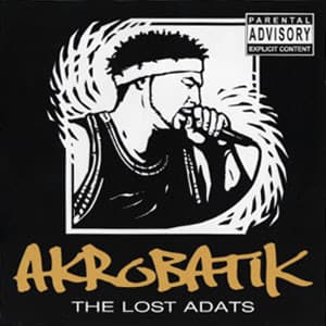 Album cover art for The Lost ADATs