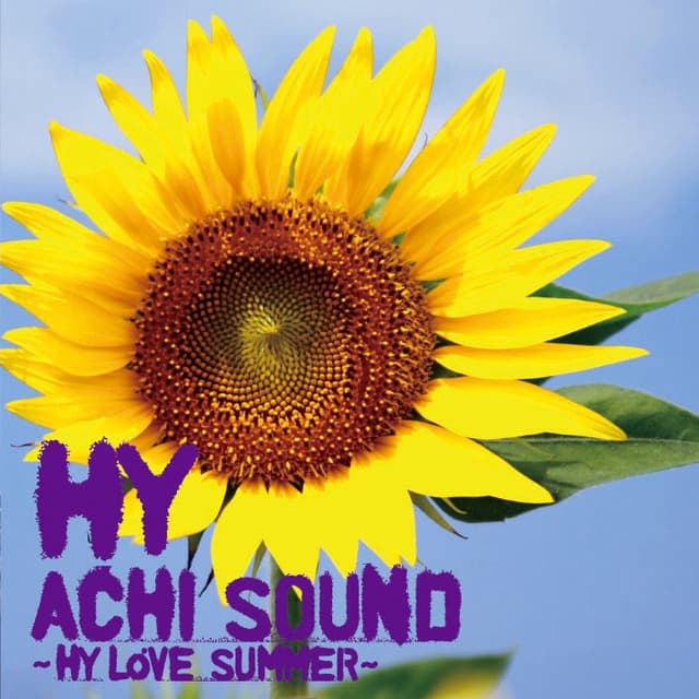 Album cover art for ACHI SOUND~HY LOVE SUMMER~