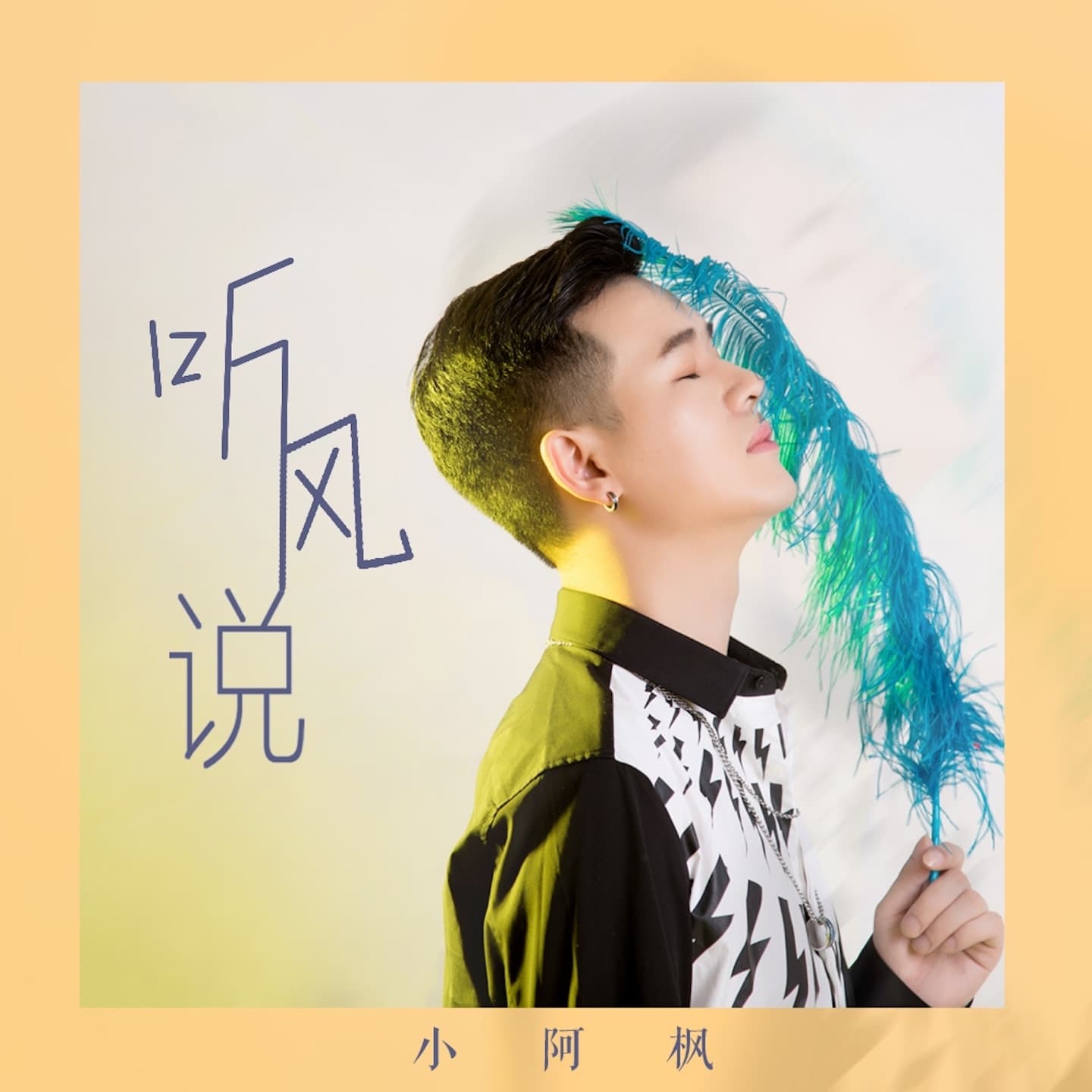Lyric cover art