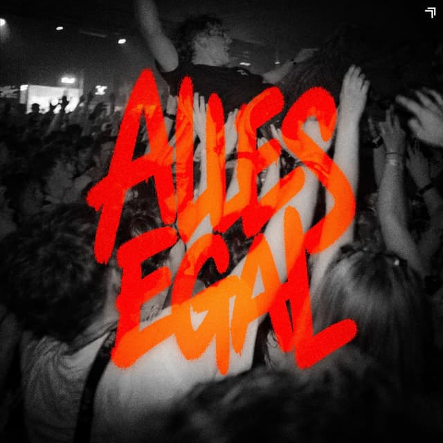 Album cover art for ALLES EGAL