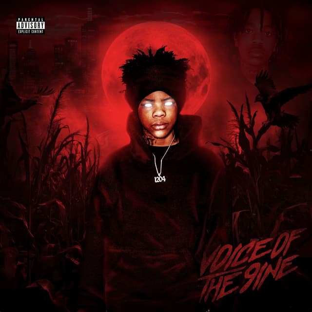 Album cover art for Voice of the 9ine
