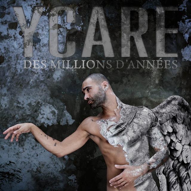 Album cover art for Des Millions d'Années