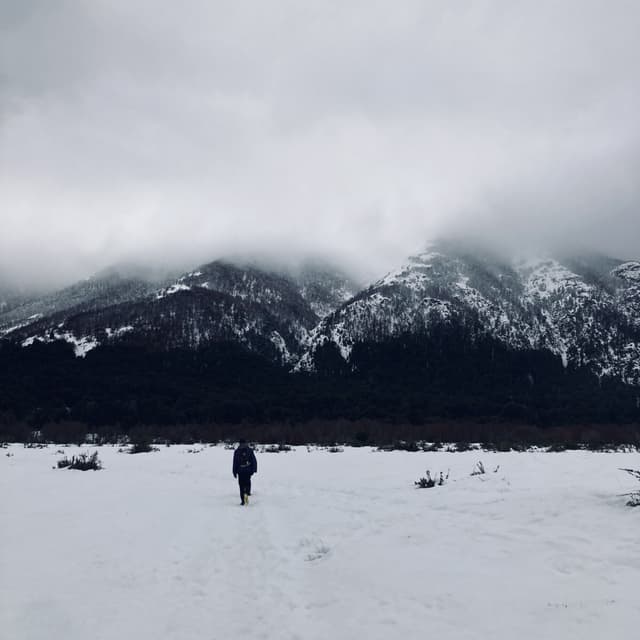 Album cover art for The Great Unknown