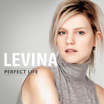 Album cover art for Perfect Life