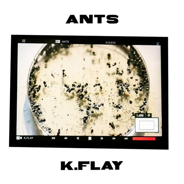 Album cover art for Ants