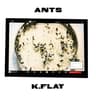 Ants