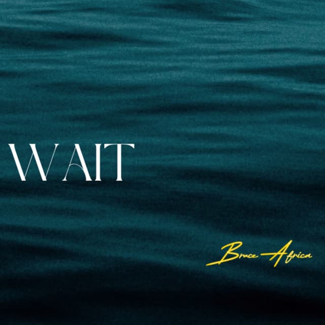 Album cover art for Wait