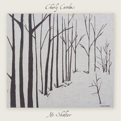 Album cover art for No Shelter