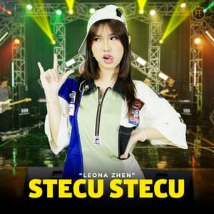 Album cover art for Stecu Stecu
